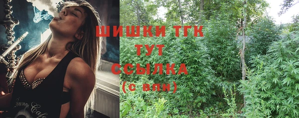 apvp Богданович