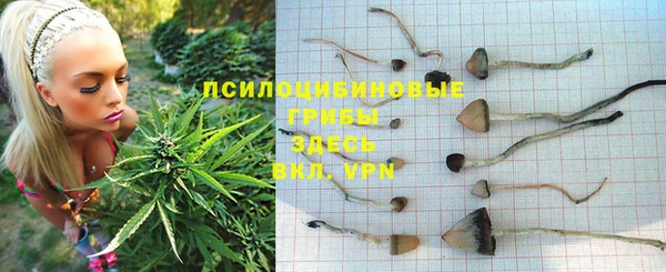 таблы Богородицк