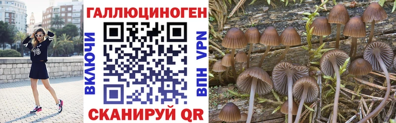 МЕГА tor  Вельск  Галлюциногенные грибы ЛСД  купить наркоту 