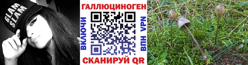 Галлюциногенные грибы ЛСД Вельск