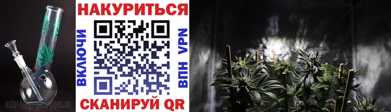 Бошки Шишки сатива  Вельск 